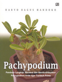 Image of Pachypodium