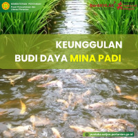 Image of Penerapan Teknologi Minapadi pada Lahan Persawahan